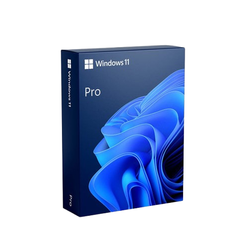 Microsoft Windows 11 Pro